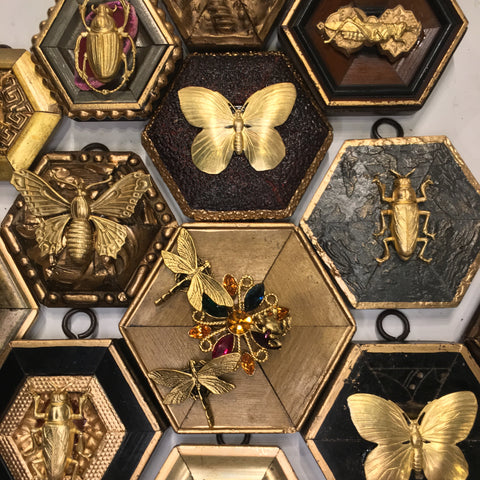Insects (Non Bee)