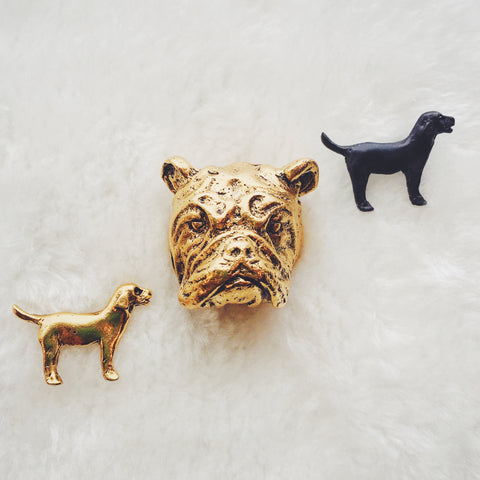 Dogs