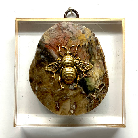 Acrylic Frame with Grande Bee on Petrified Wood / Slight Imperfections (3.75