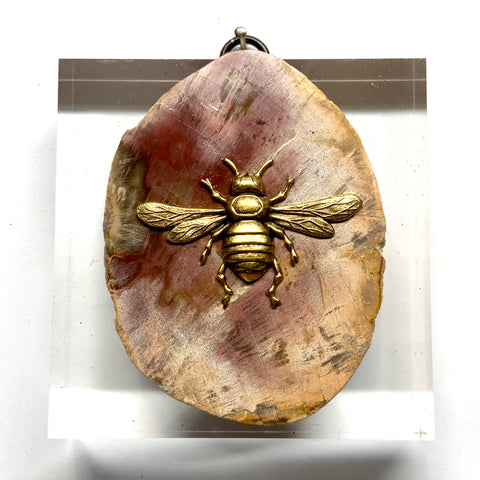 Acrylic Frame with Italian Bee on Petrified Wood / Slight Imperfections (3.75