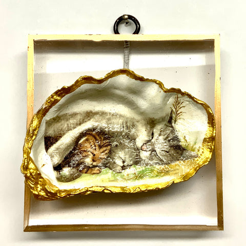 Acrylic Frame with Kitten Oyster Shell / Slight Imperfections (3.75