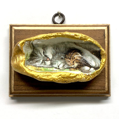 Wooden Frame with Kitten Oyster Shell (4.25