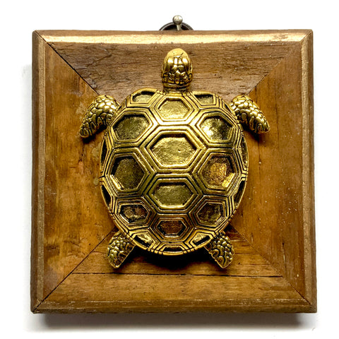 Wooden Frame with Turtle (3.5