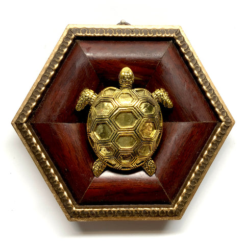 Wooden Frame with Turtle (5.75