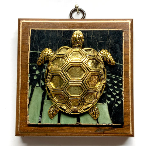 Wooden Frame with Turtle on Coromandel (3.75
