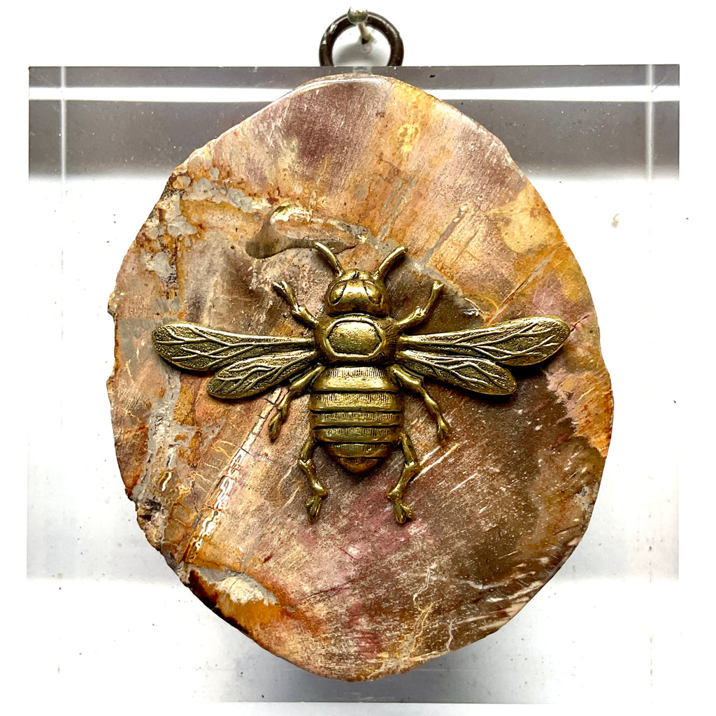 Acrylic Frame with Italian Bee on Petrified Wood / Slight Imperfections (4