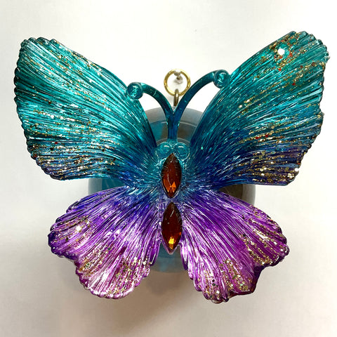 Orb Frame with Butterfly (6