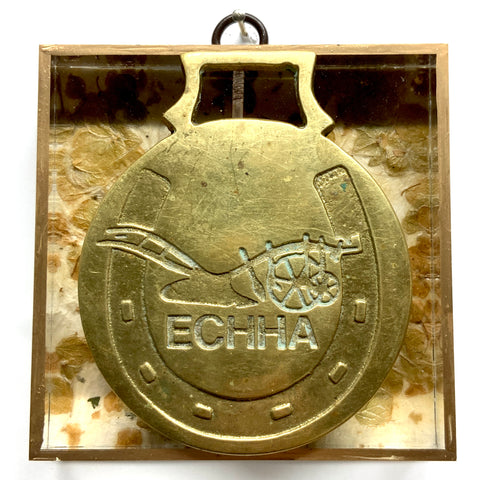 Acrylic Frame with Horse Brass / Slight Imperfections (4