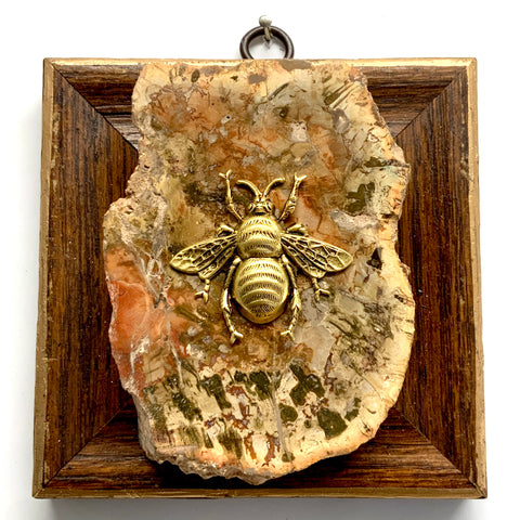 Wooden Frame with Grande Bee on Petrified Wood (4.5
