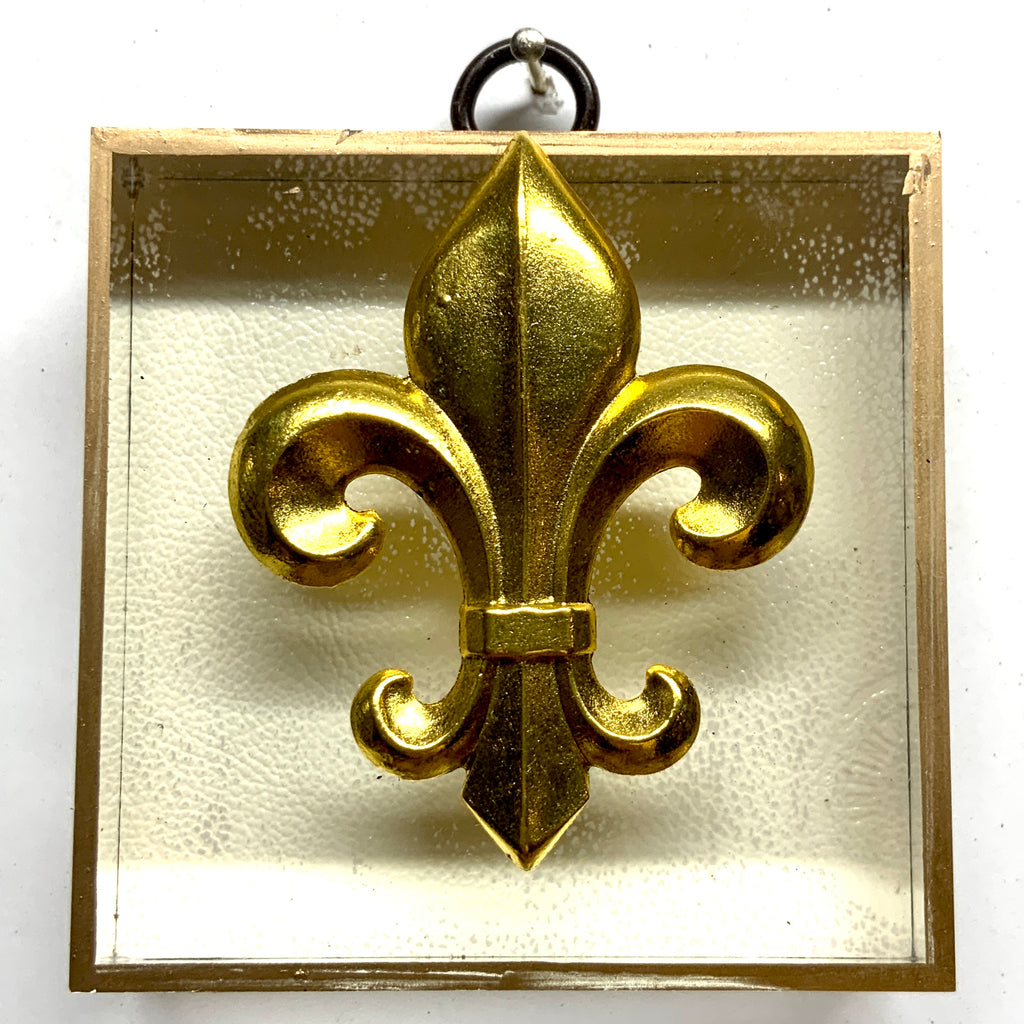 Acrylic Frame with Fleur-de-lis / Slight Imperfections (3