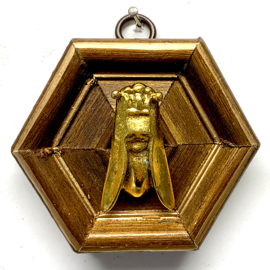 Gilt Frame with Cicada (3.5