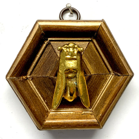 Gilt Frame with Cicada (3.5