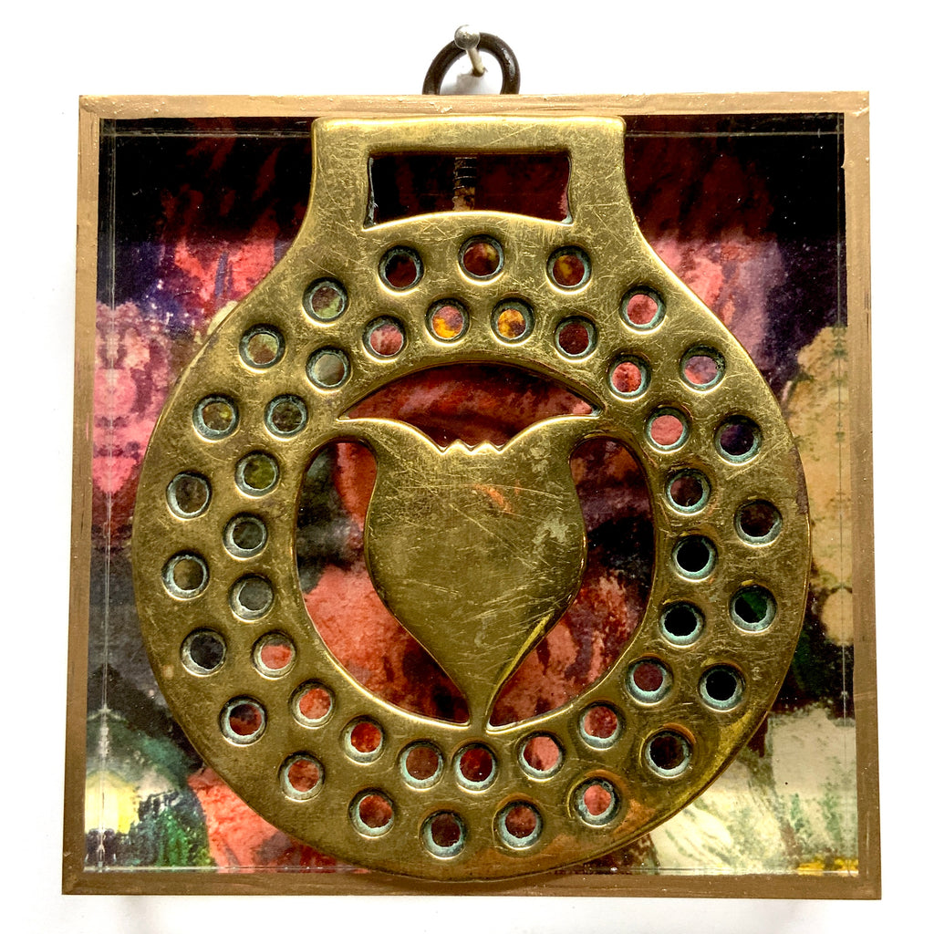 Acrylic Frame with Horse Brass / Slight Imperfections (4