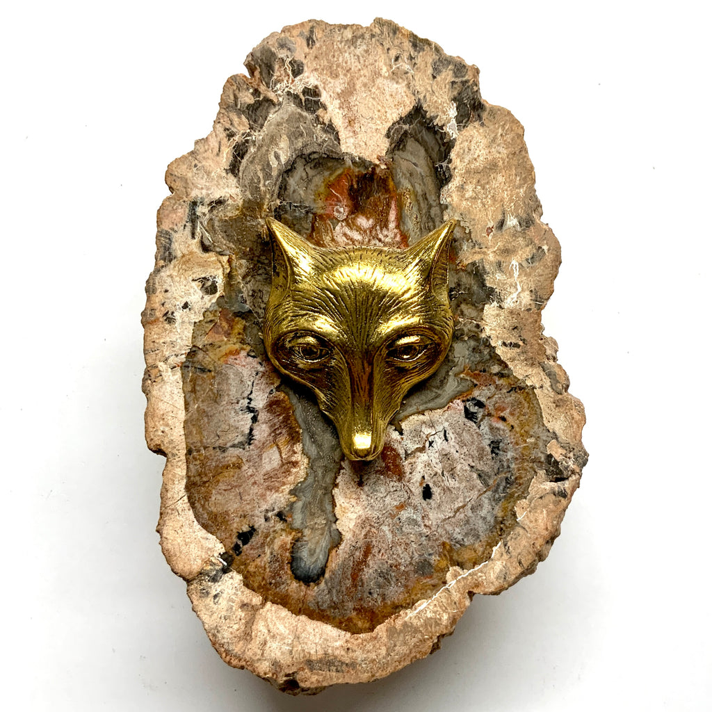 Petrified Wood Frame with Fox (3.5