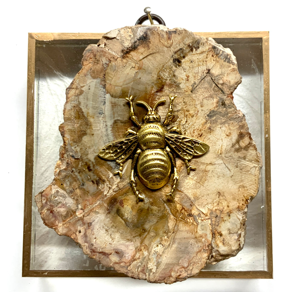 Acrylic Frame with Grande Bee on Petrified Wood / Slight Imperfections (4