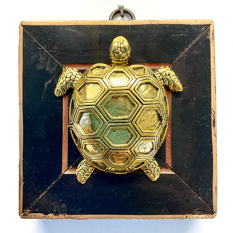 Coromandel Frame with Turtle (3.5