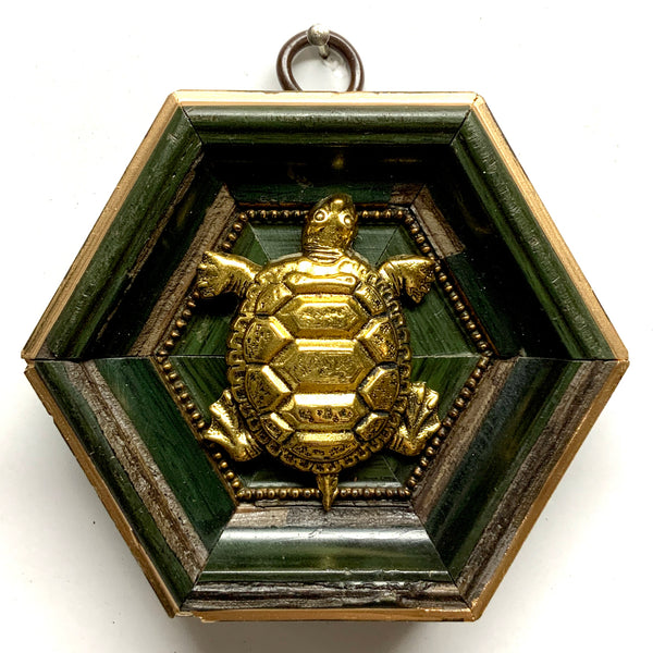 Painted Frame with Turtle (3.5