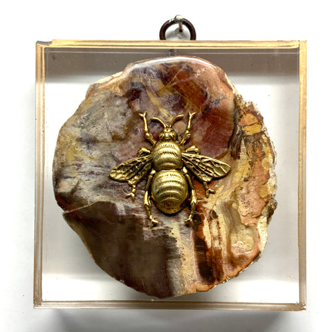 Acrylic Frame with Grande Bee on Petrified Wood / Slight Imperfections (4