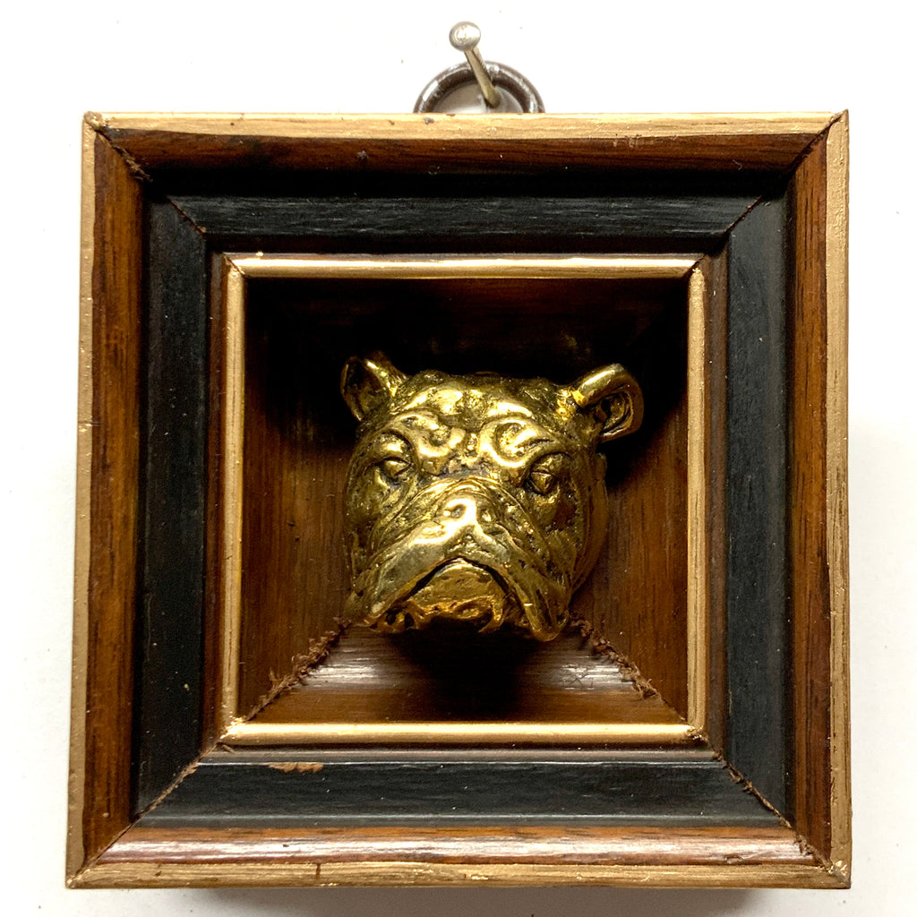 Wooden Frame with Bulldog (2.75