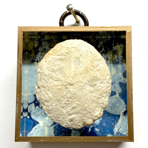 Acrylic Frame with Fossilized Sand Dollar / Slight Imperfections (2