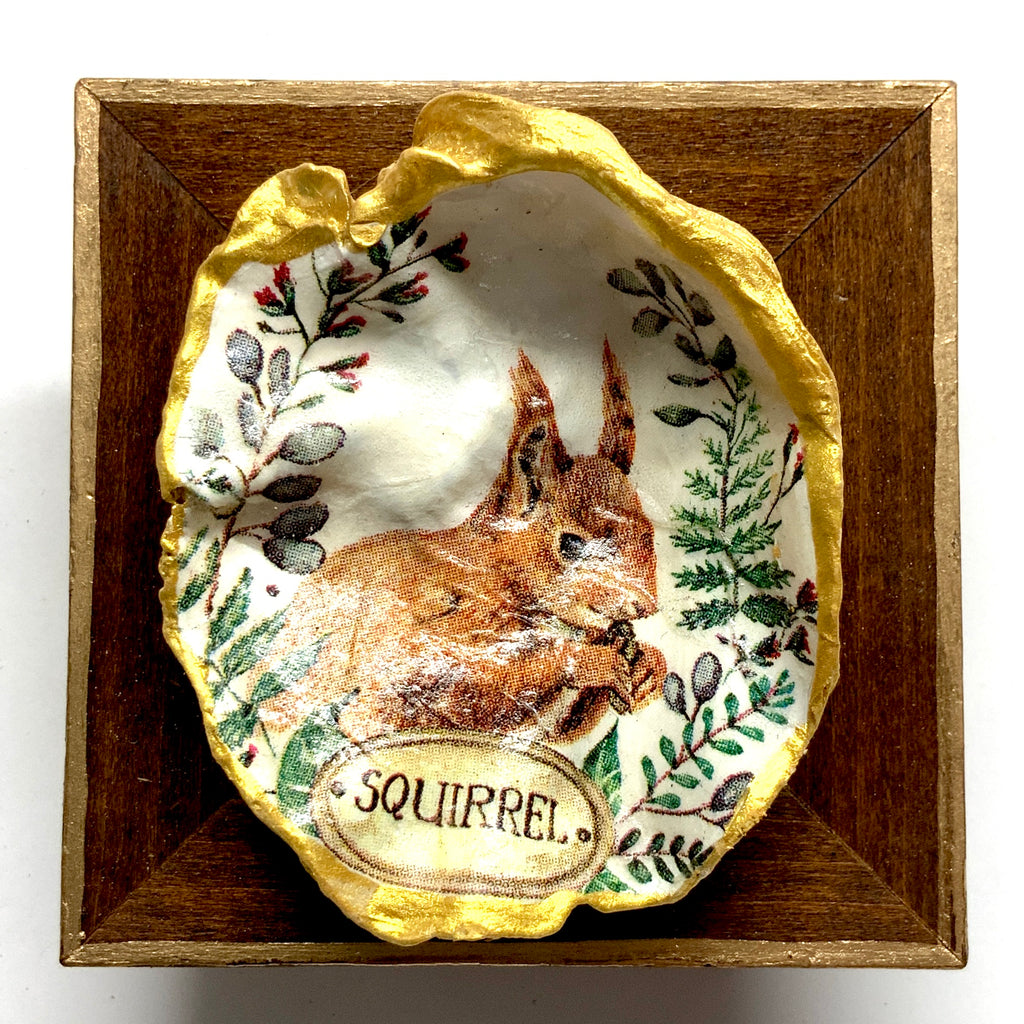 Wooden Frame with Squirrel Oyster Shell (3.25