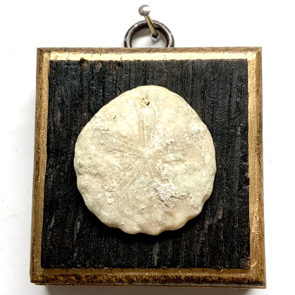 Bourbon Barrel Frame with Fossilized Sand Dollar (2.5