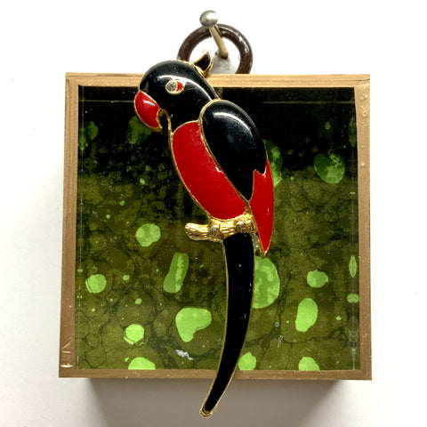 Acrylic Frame with Parrot / Slight Imperfections (2