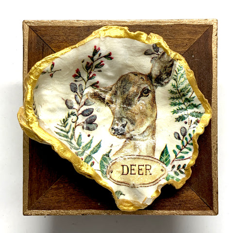 Wooden Frame with Deer Oyster Shell (3.25