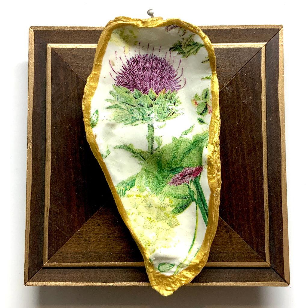 Wooden Frame with Thistle Oyster Shell (5