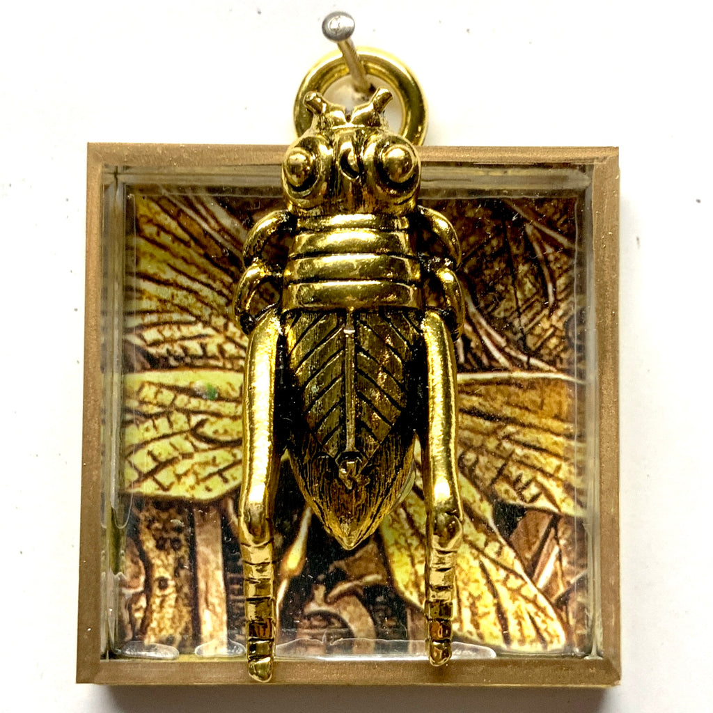 Acrylic Frame with Grass Hopper / Slight Imperfections (2