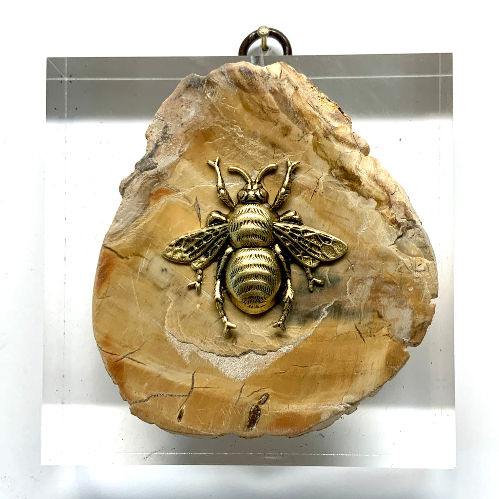 Lucite Acrylic Frame with Grande Bee on Petrified Wood Piece/ Slight Imperfections (3.75” wide)