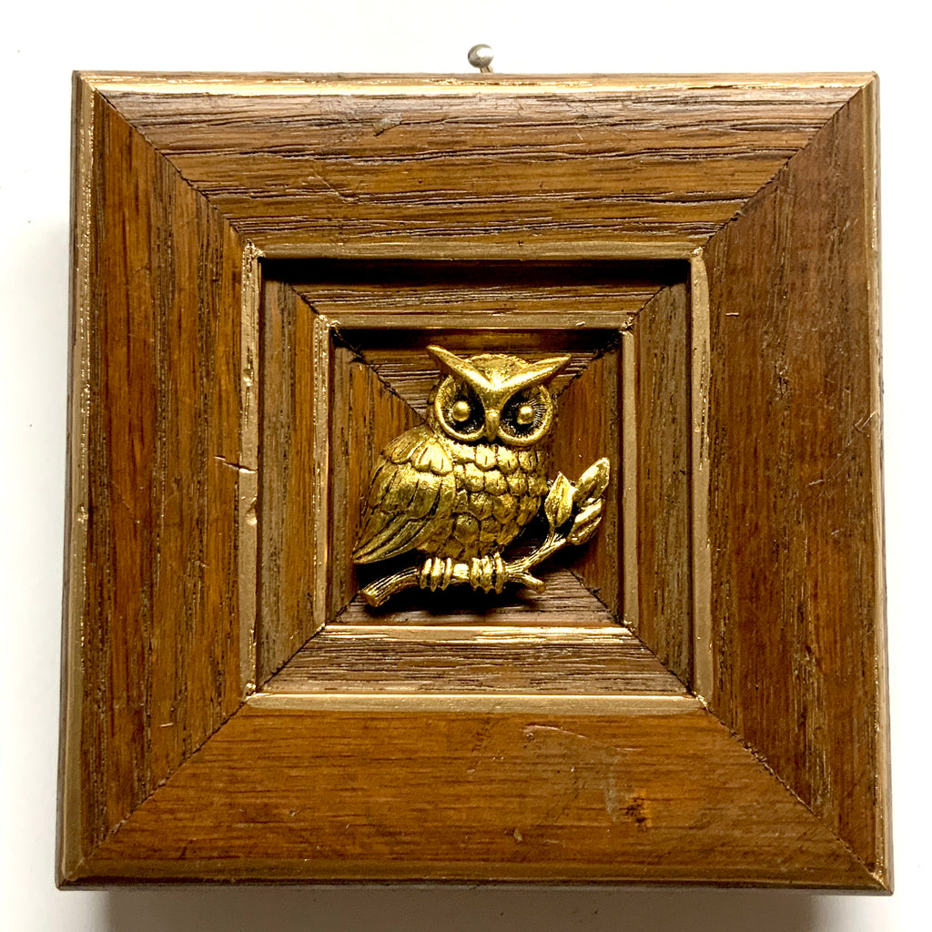 Wooden Frame with Owl (4