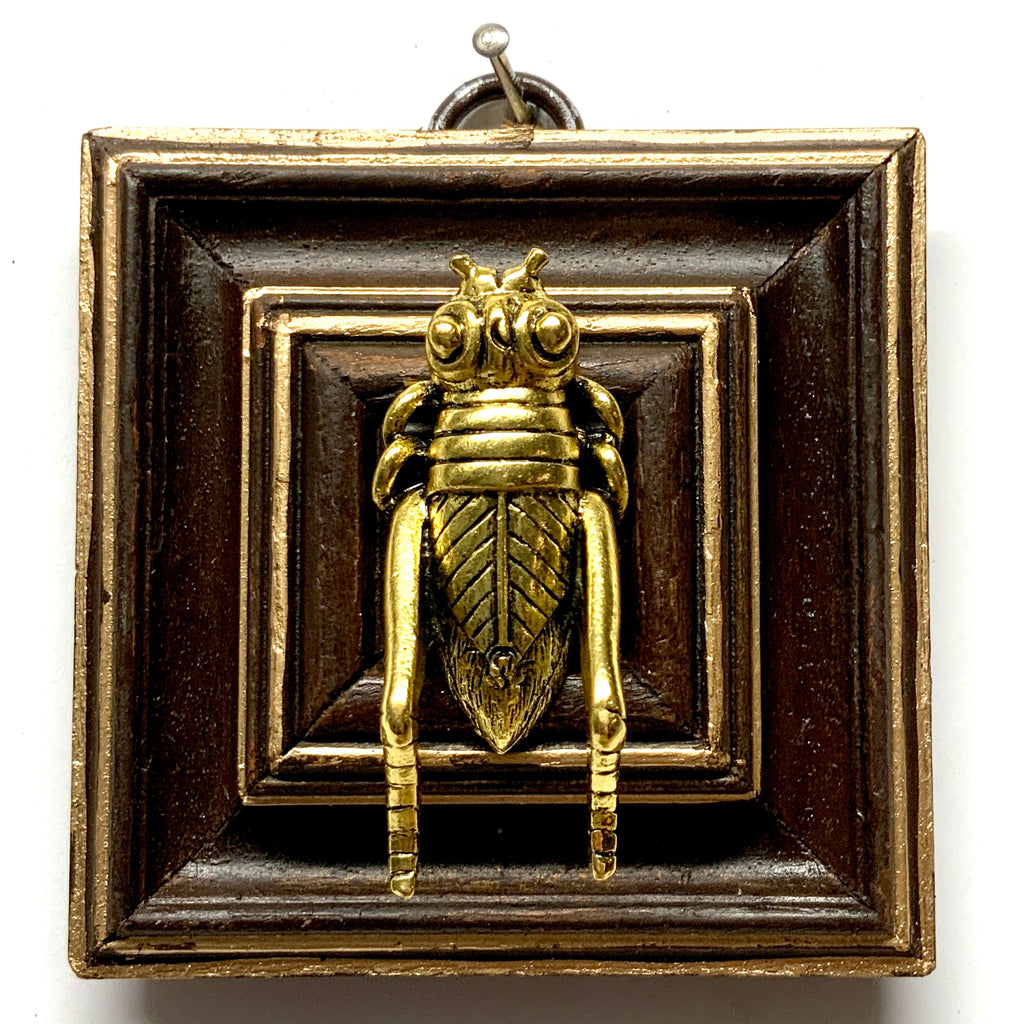 Wooden Frame with Grasshopper (3