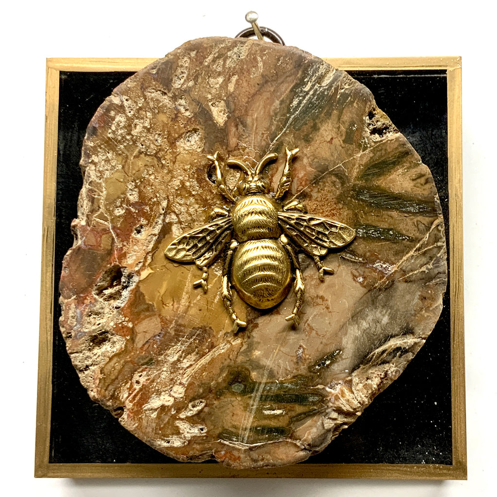 Acrylic Frame with Grande Bee on Petrified Wood / Slight Imperfections (4