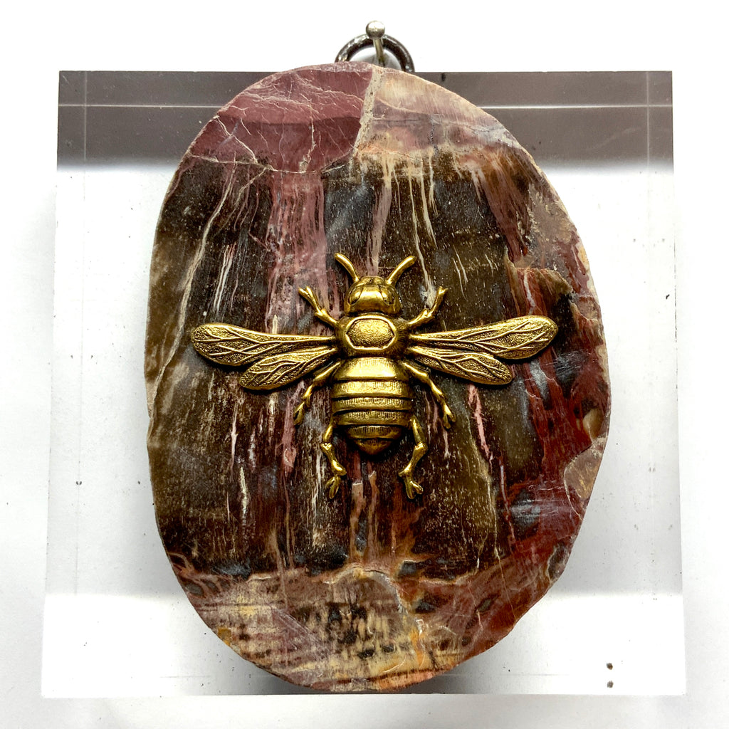 Acrylic Frame with Italian Bee on Petrified Wood / Slight Imperfections (4