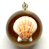 Acrylic Dome Frame with Shell / Slight Imperfections (3