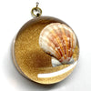 Acrylic Dome Frame with Shell / Slight Imperfections (3