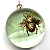 Acrylic Dome Frame with Grande Bee on Mulberry Paper / Slight Imperfections (3