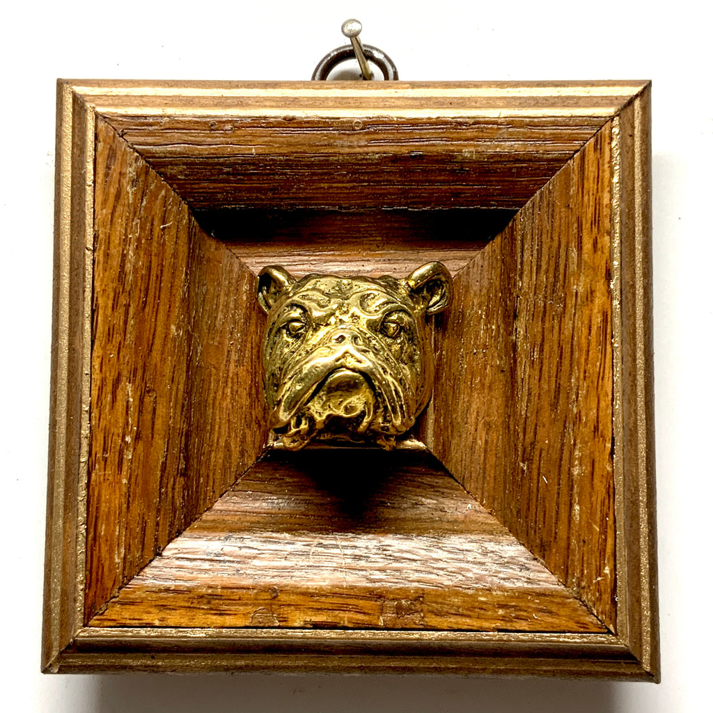 Wooden Frame with Bulldog (3.75