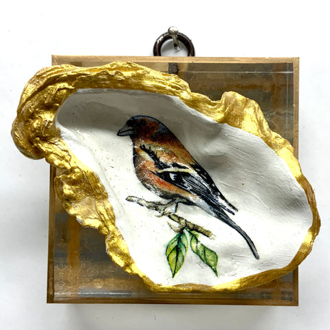 Acrylic Frame with Bird Oyster Shell / Slight Imperfections (3