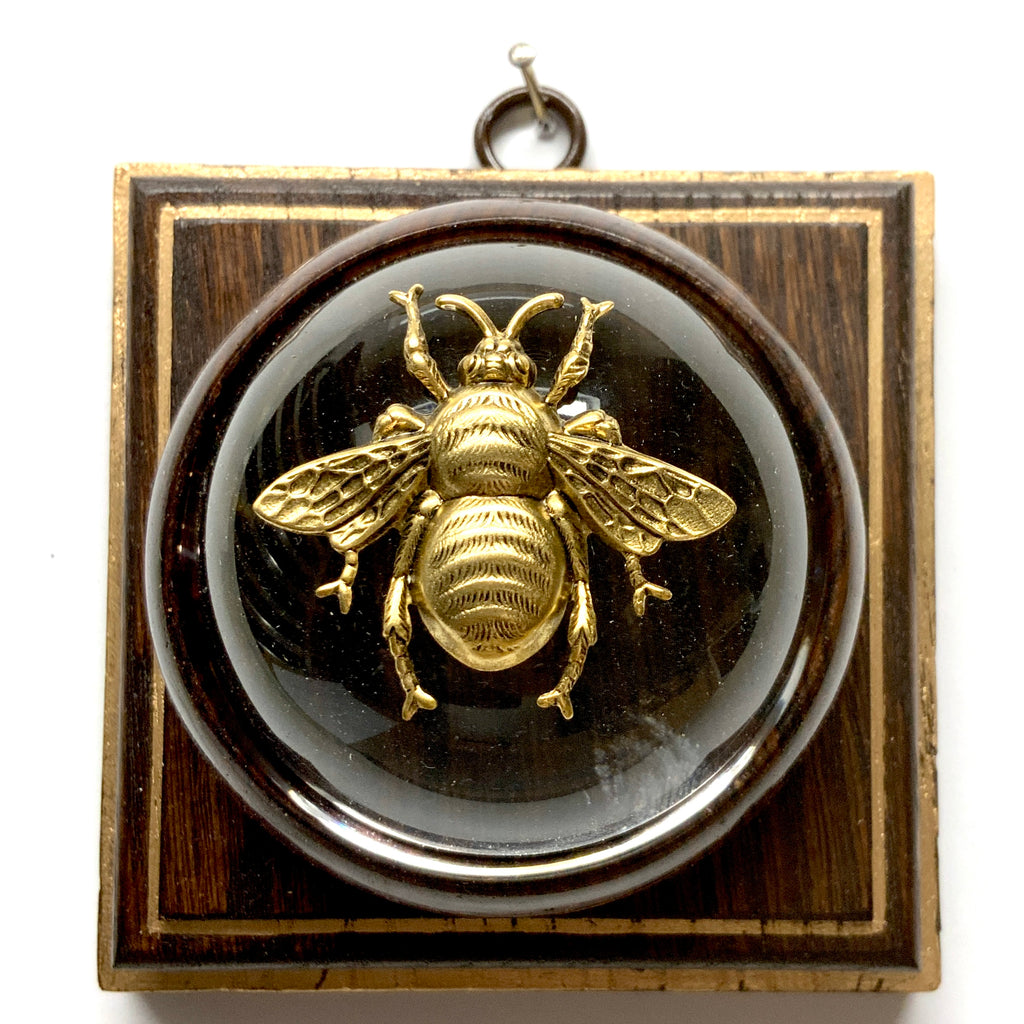 Wooden Frame with Grande Bee on Acrylic Dome / Slight Imperfections (4