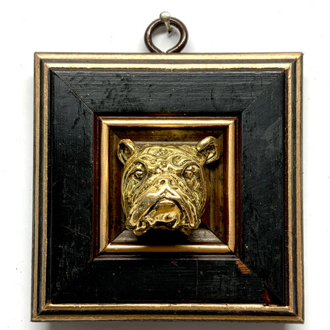 Lacquered Frame with Bulldog (3.5