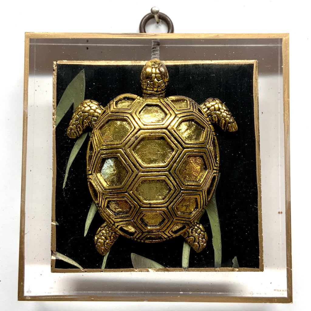 Acrylic Frame with Turtle on Coromandel / Slight Imperfections (4