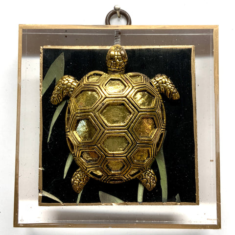 Acrylic Frame with Turtle on Coromandel / Slight Imperfections (4