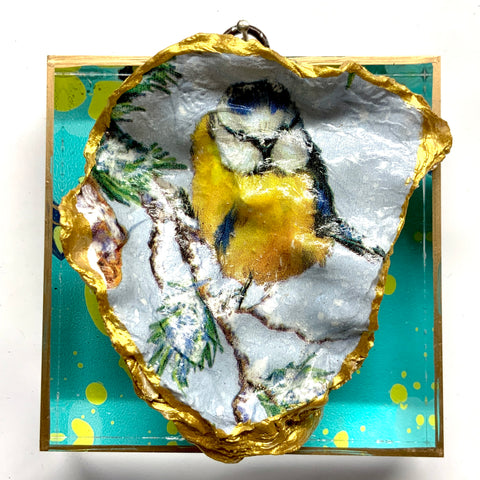 Acrylic Frame with Bird Oyster Shell on Marbled Paper / Slight Imperfections (4