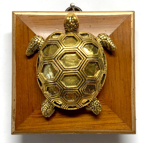 Wooden Frame with Turtle (3.25