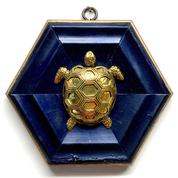 Painted Frame with Turtle (6