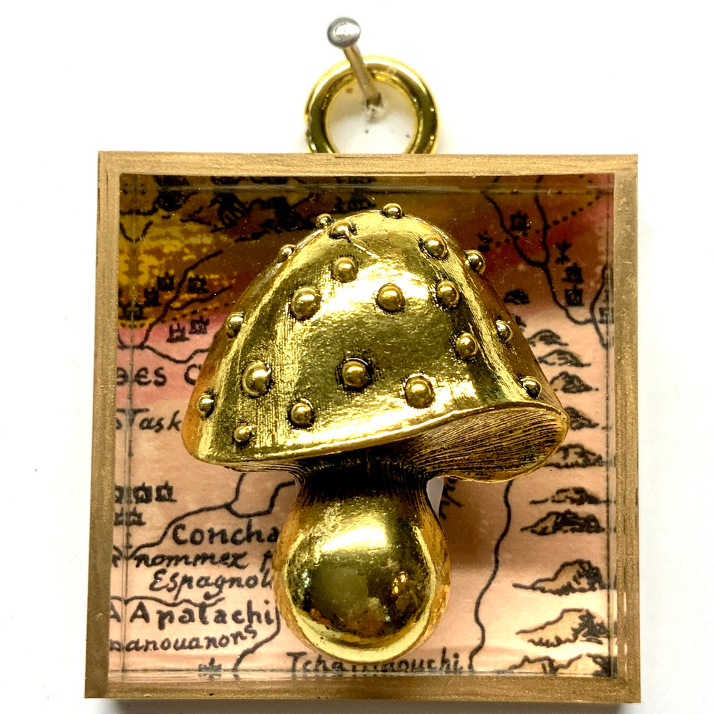 Acrylic Frame with Mushroom / Slight Imperfections (2