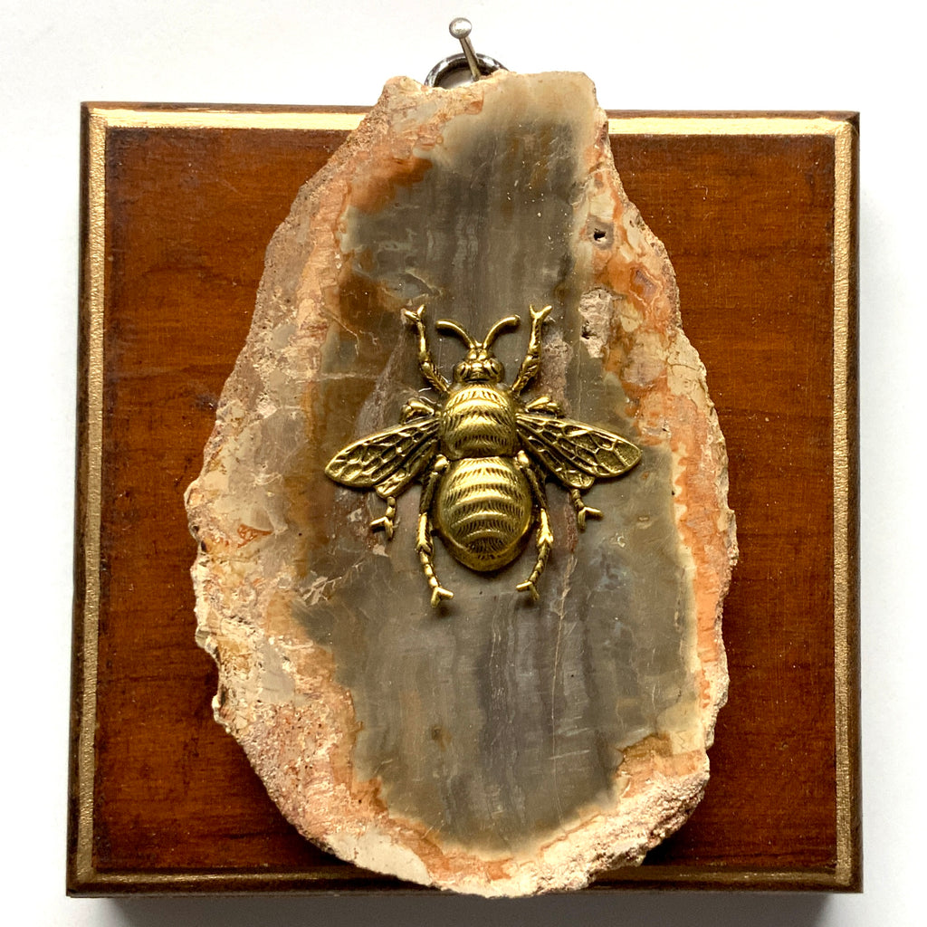 Wooden Frame with Grande Bee on Petrified Wood (4.5
