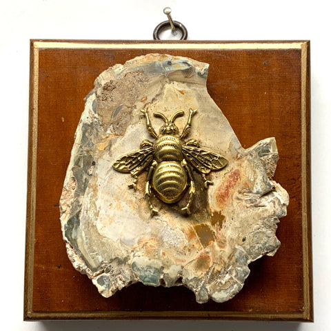 Wooden Frame with Grande Bee on Petrified Wood (4.5